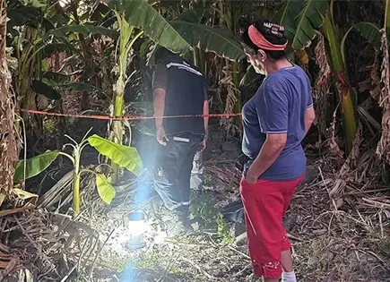 Buscadoras localizan dos cuerpos en predio