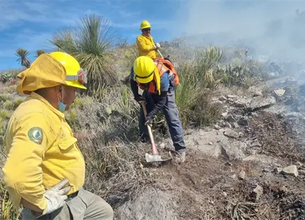 Sedena aplica Plan DN III-E por incendio en Ciudad del Ma&iacute;z