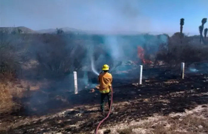 Continúa ola de incendios