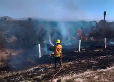 Exhortan a municipios a reforzar brigadas contra incendios Exhortan a municipios a reforzar brigadas contra incendios