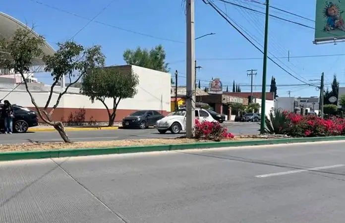 Admiten amparo vs. pintado de verde en camellones