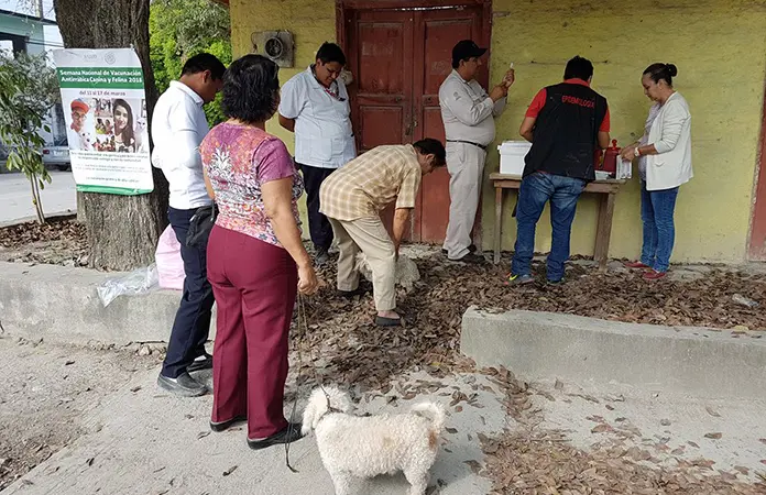 Anuncian jornada de vacunación antirrábica