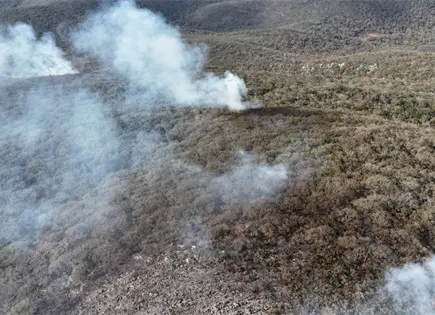 Controlan incendio en Ciudad del Ma&iacute;z; da&ntilde;&oacute; 505 hect&aacute;reas
