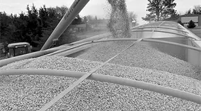 Se importan m&aacute;s granos: GCMA