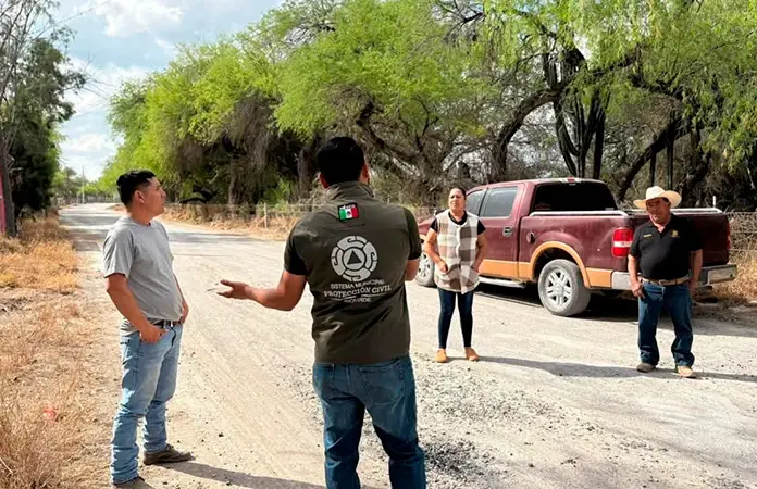 Personal de PC atrapará un enjambre de abejas