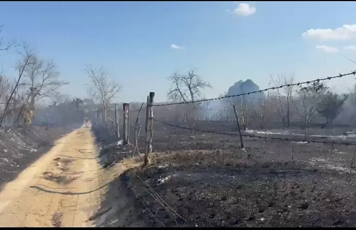 Severas sanciones a quien provoque incendio forestal