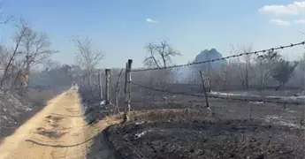 Severas sanciones a quien provoque incendio forestal