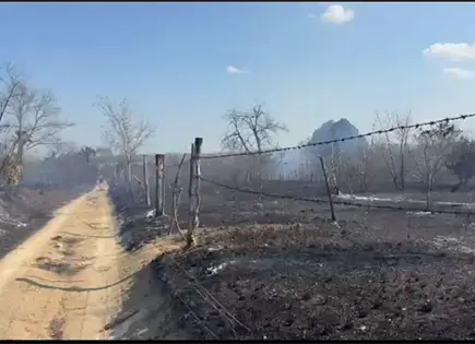 Solo un detenido por incendios forestales en SLP: Fiscal&iacute;a
