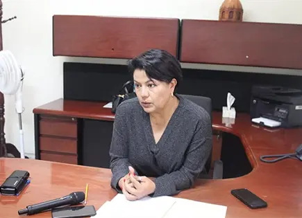 Mireya Vancini reconoce rezago en atenci&oacute;n a violencia infantil