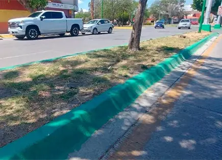 Municipio negociar&aacute; el color de camellones