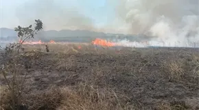 Quema de ca&ntilde;a genera un nuevo incendio forestal