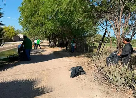 Contin&uacute;a la limpieza de la Media Luna