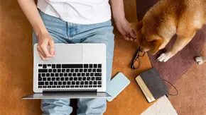 Noches de house-sitting: lo que las personas hacen cuando est&aacute;n solas en la casa de alguien m&aacute;s