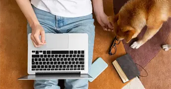 Noches de house-sitting: lo que las personas hacen cuando est&aacute;n solas en la casa de alguien m&aacute;s