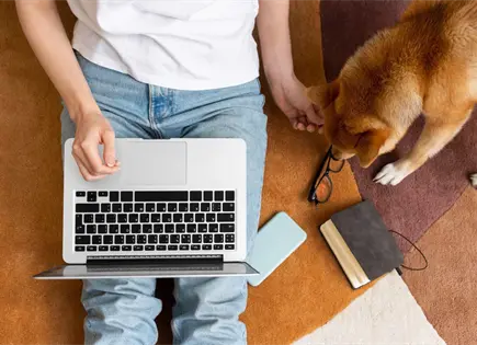 Noches de house-sitting: lo que las personas hacen cuando est&aacute;n solas en la casa de alguien m&aacute;s