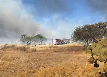 Incendio en El Charquillo moviliza a bomberos (video) Incendio en El Charquillo moviliza a bomberos (video)
