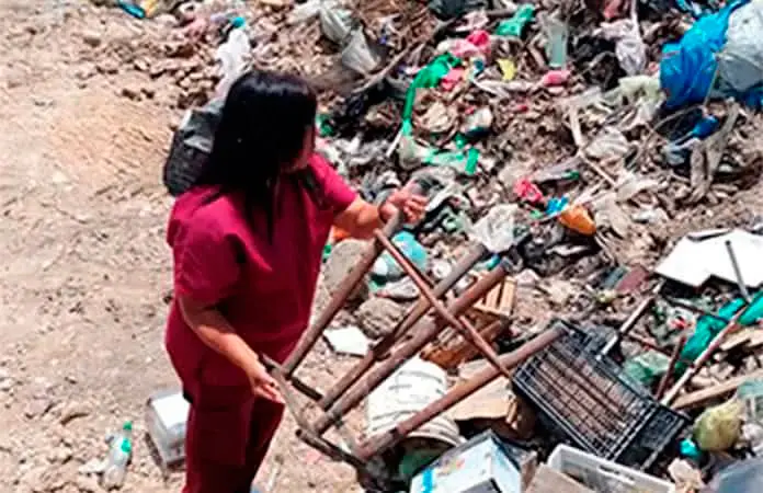 Intensifican acciones contra el dengue