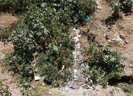 Piden a propietarios de baldíos mantenerlos limpios Piden a propietarios de baldíos mantenerlos limpios