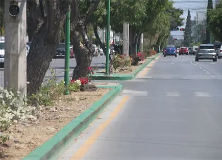 Justifica la JEC el verde de las guarniciones