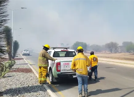 Combaten incendio de pastizal en Bulevar BMW Combaten incendio de pastizal en Bulevar BMW
