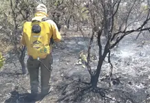 Logran sofocar incendio en La Campi&ntilde;a