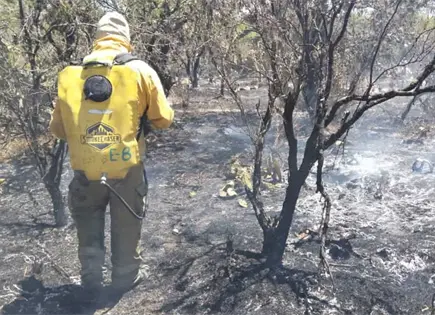 Logran sofocar incendio en La Campi&ntilde;a