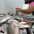 Aún sin detectar pescado contaminado: Coepris