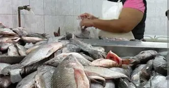 Concomercio reporta ca&iacute;da en ventas de pescado en Semana Santa 2026