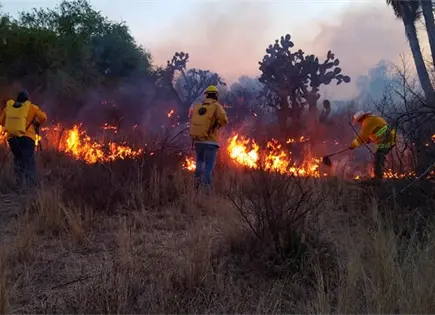 Combaten brigadistas incendio en parque industrial