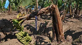 Pemex afecta vida de los tabasqueños