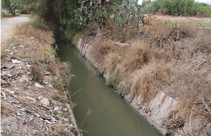 Se desbordan aguas negras por taponamiento de canales en Soledad
