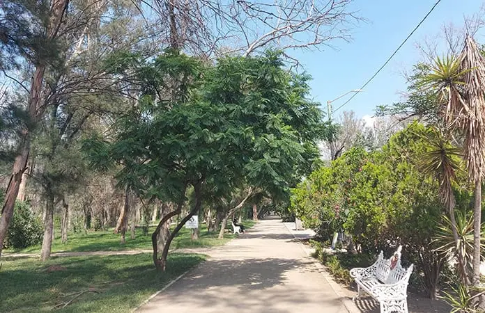 Alistan acciones de mejora para Morales