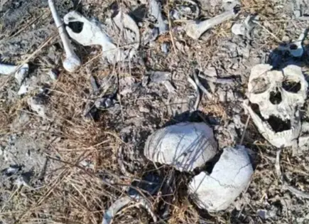 Colectivo localiza restos &oacute;seos en colonia El Olmo, Reynosa