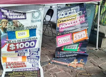 Empresas ajustan salarios al m&iacute;nimo legal; &iquest;Cu&aacute;nto ofrecen en ZI?