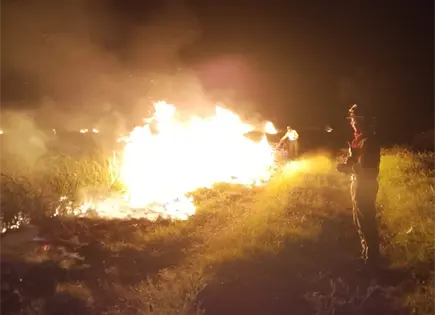 Suman 230 incendios en Ciudad Valles