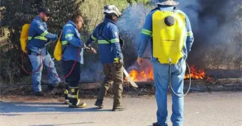 Suman 230 incendios forestales en Ciudad Valles