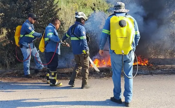 Suman 230 incendios forestales en Ciudad Valles Suman 230 incendios forestales en Ciudad Valles