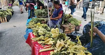 T&eacute;neks venden sus palmas artesanales