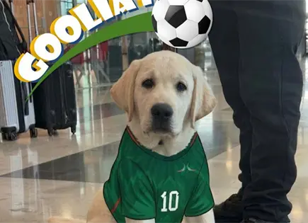 Mundial 2026: AIFA presenta a Gooliat para apoyo emocional