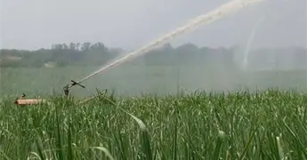 Suspender&aacute; la Conagua riegos ca&ntilde;eros si no llueve