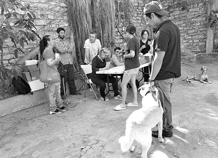 Aplican vacunas antirr&aacute;bicas en Valles