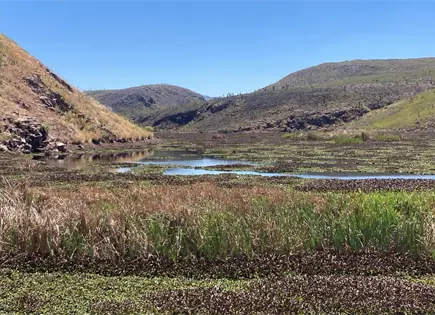 CEA reporta altos niveles de almacenamiento en presas