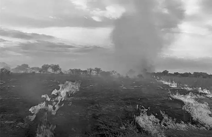 Controlan incendio en "La Cabra"