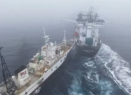 Fundaci&oacute;n Paul Watson detiene pesca de krill tras choque en Ant&aacute;rtida