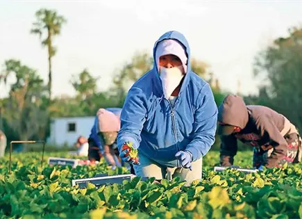 Guerra dispara 29% precio de los fertilizantes