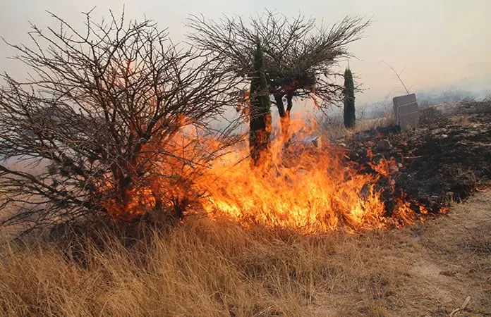 Cierra Dir. de Gestión Ambiental de Pozos basurero clandestino