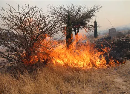 Cierra Dir. de Gestión Ambiental de Pozos basurero clandestino