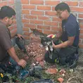 Elementos de Bomberos rescatan un cachorrito