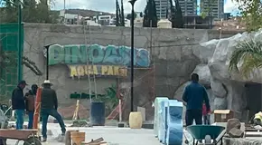 Le sale due&ntilde;o al nombre Dinoasis