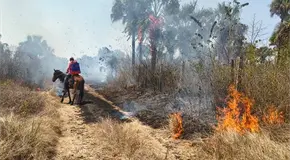 Incendio en Montecillos afecta r&uacute;a Valles-Mante